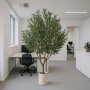 Stort kunstigt oliventr | 250 cm